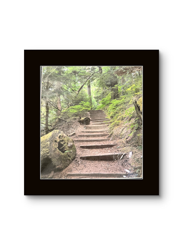 Way Up by Shama Shams, Image 1.