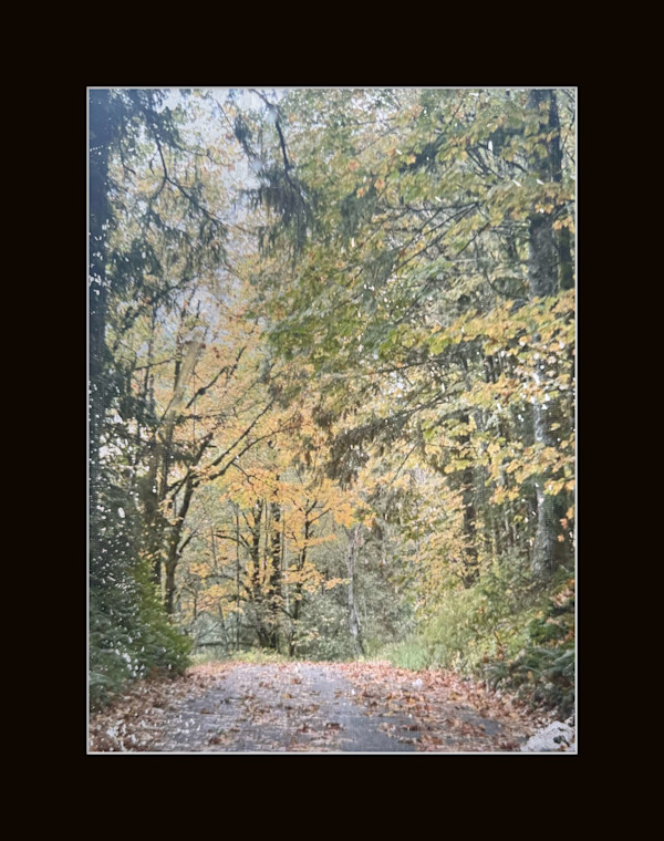 Walk in the Park by Shama Shams, Image 1.