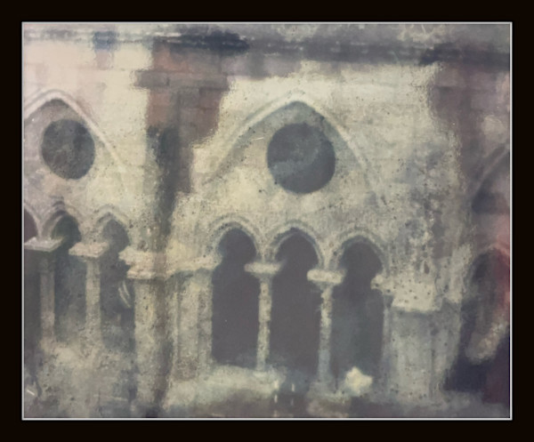 Photography #006 by Shama Shams, Image 1.