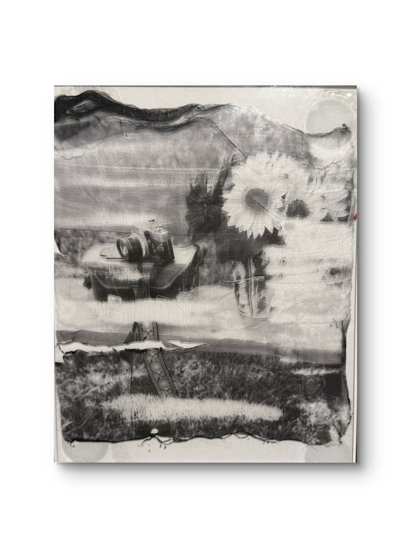 Analoig by Shama Shams, Image 1.
