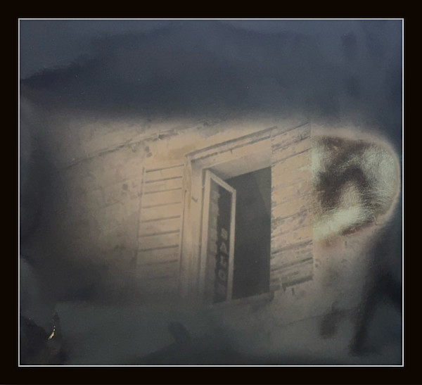 Photography #0033 by Shama Shams, Image 1.