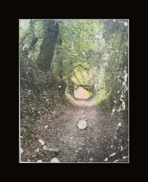 Camino Awaits by Shama Shams, Image 1.