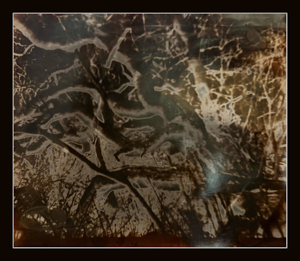 Photography #0017 by Shama Shams, Image 1.