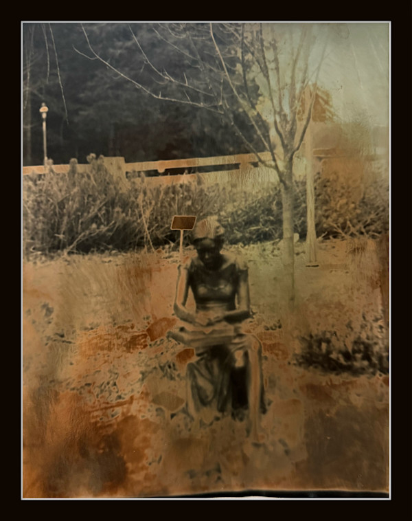 Photography #0012 by Shama Shams, Image 1.