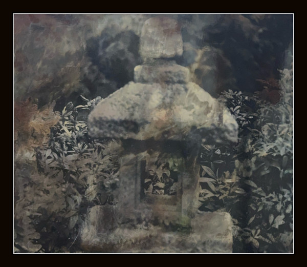 Photography #0014 by Shama Shams, Image 1.