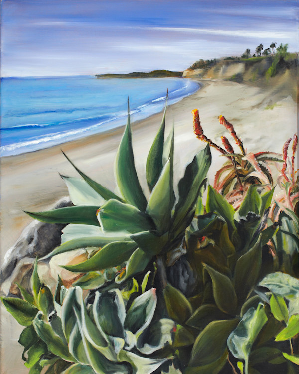 Butterfly Beach View by Pamela Larson Toscher, Image 1.