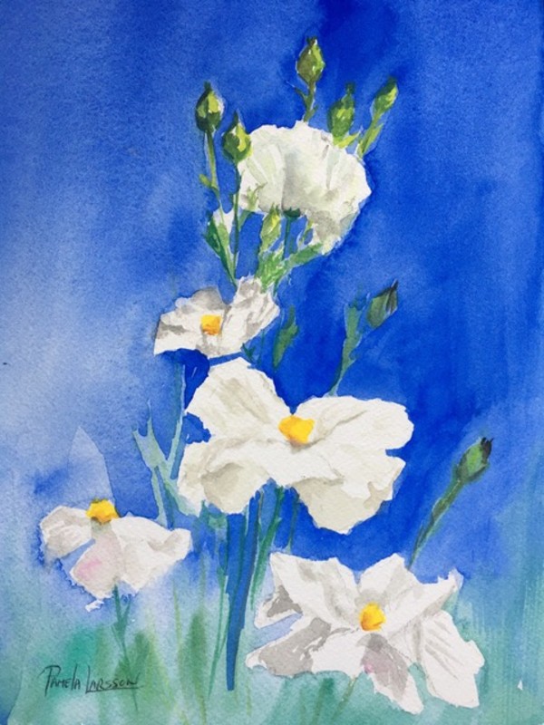 White Flowers by Pamela Larson Toscher