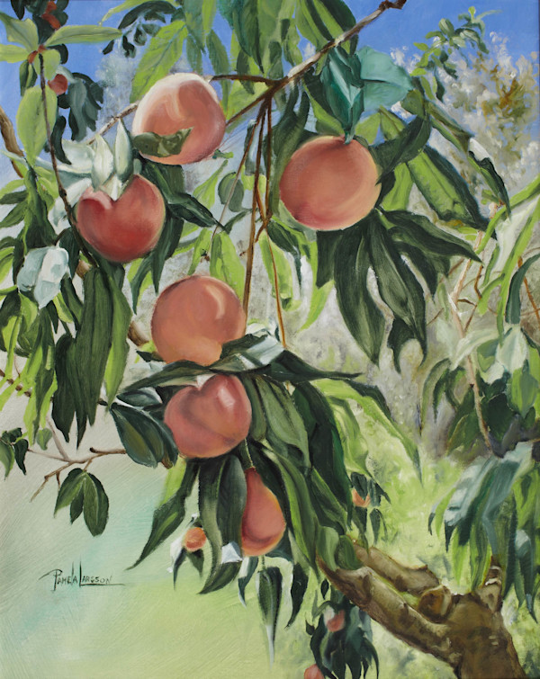 Peaches by Pamela Larson Toscher, Image 1.