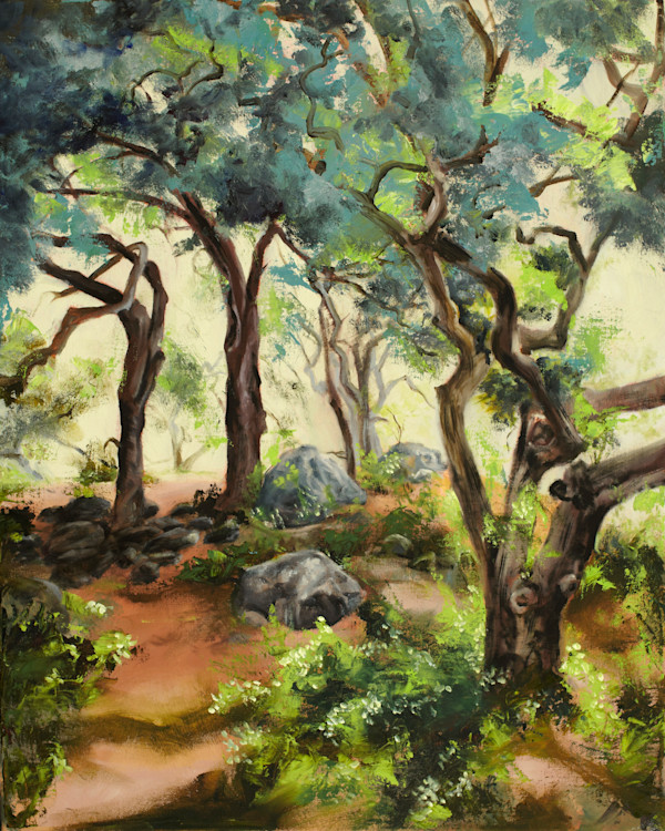 Rattle Snake Canyon by Pamela Larson Toscher, Image 1.