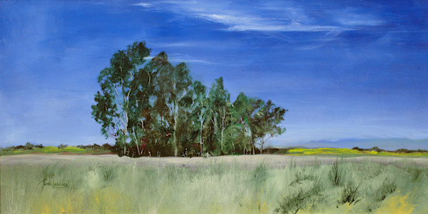 The Mesa by Pamela Larson Toscher, Image 1.
