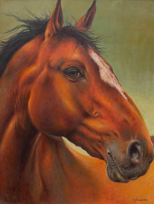 Caballo Mascilento by Klever Moscoso, Image 1.