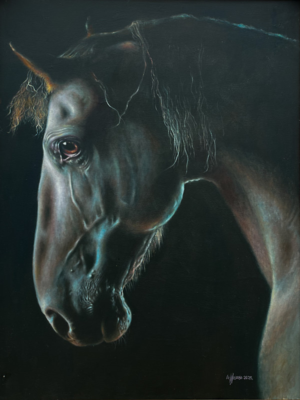 Caballo en Sombra by Klever Moscoso, Image 1.