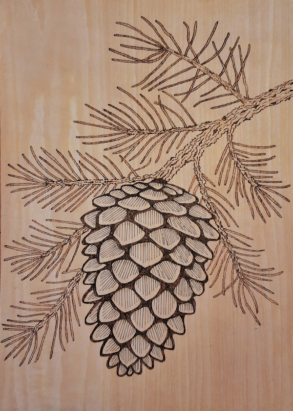 Proud Pine Cone by Mara Wolf, Image 1.