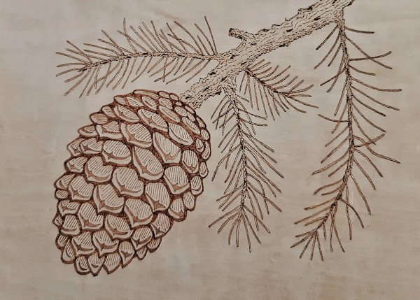 Prickly Pine Cone by Mara Wolf, Image 1.