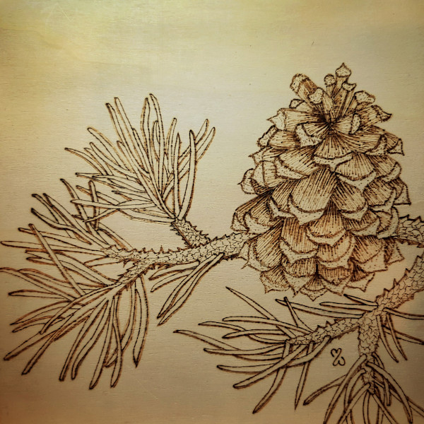 Pine Cone Dreams by Mara Wolf, Image 1.
