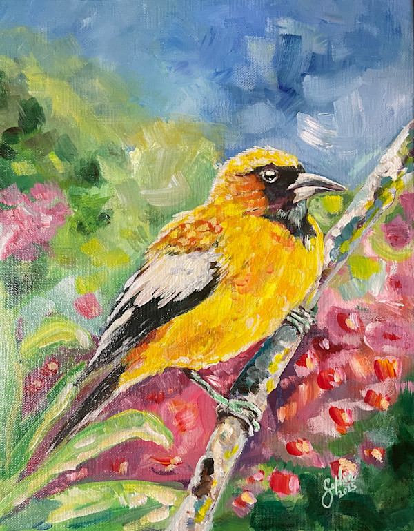 Jamaican Oriole by Sophia Manning, Image 1.