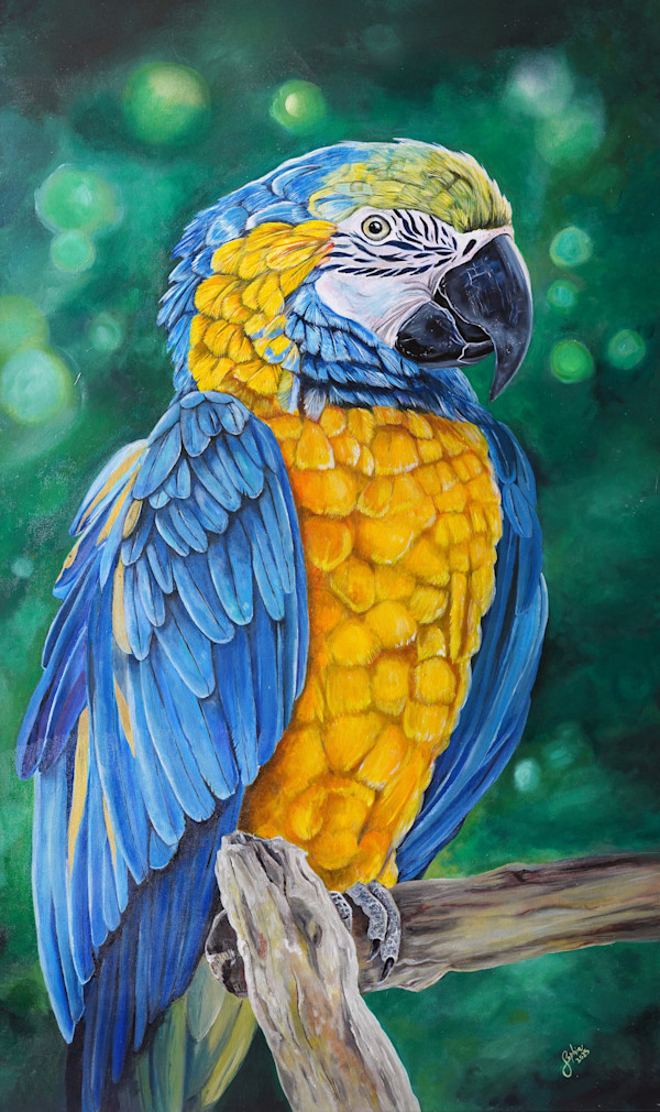 Macaw by Sophia Manning, Image 1.