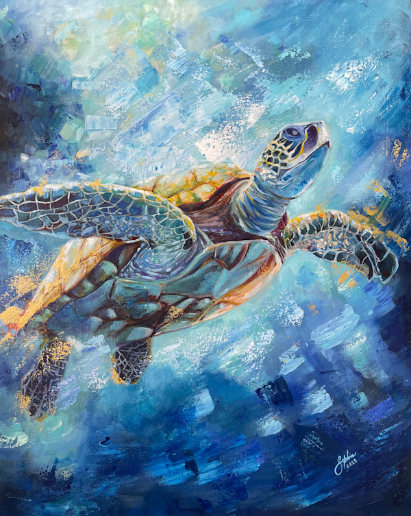 Turtle 2 by Sophia Manning, Image 1.