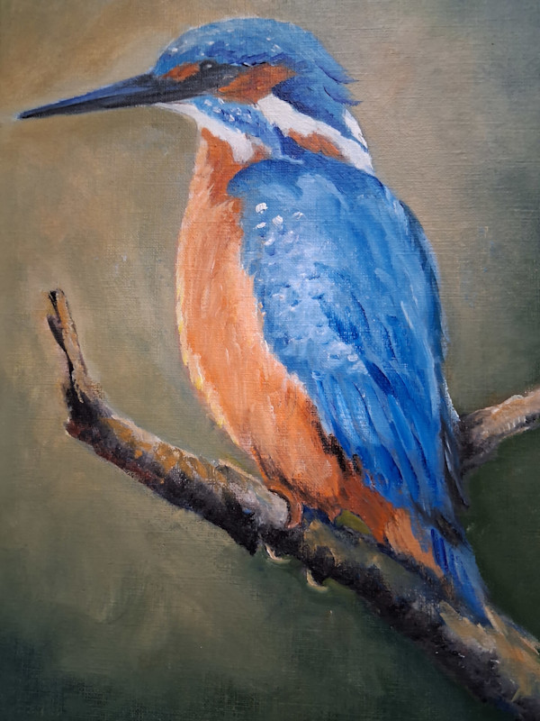 Kingfisher by Teresita  Hightower, Image 1.
