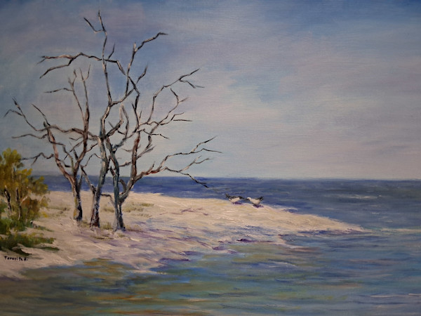 Florida Winter by Teresita  Hightower, Image 1.