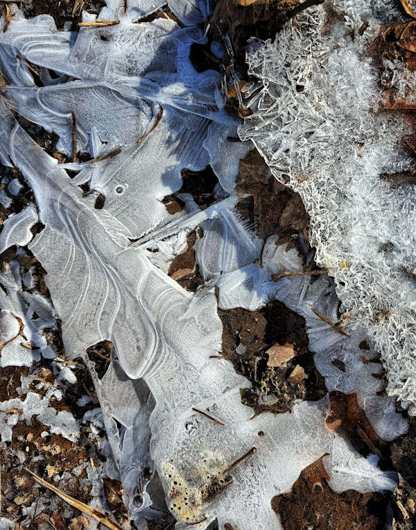 Ground Frost 1 by Richard Dube