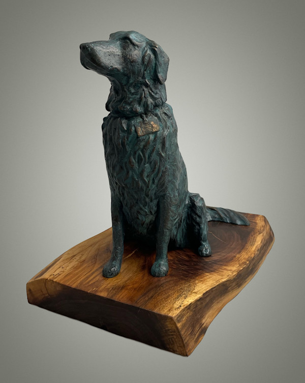 Sadie: Pet Therapy Dog by Maria Willison