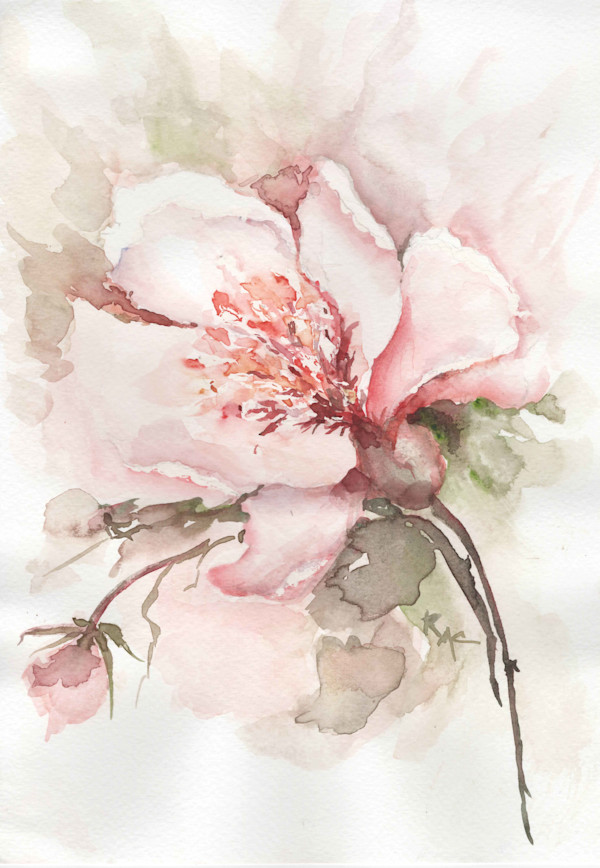 Magnolia Grace by Rosangela Castro, Image 1.