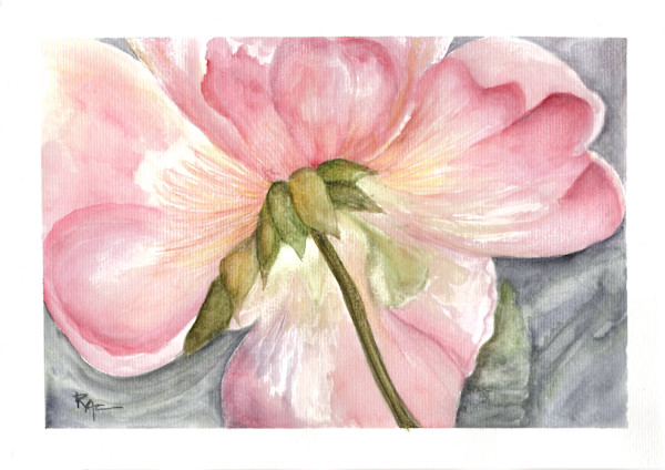 Rose from Below by Rosangela Castro, Image 1.