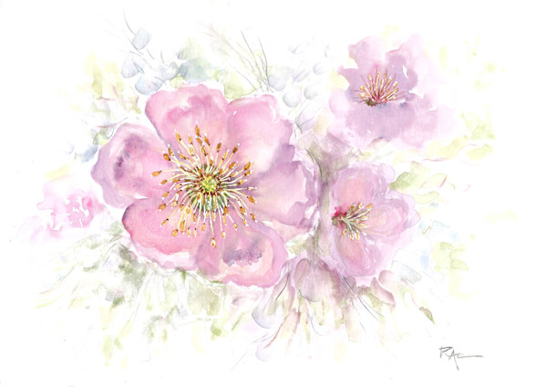 Blush Petals by Rosangela Castro