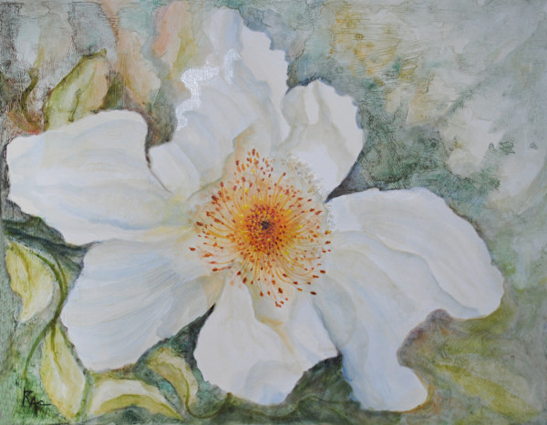 Wild Rose Glow by Rosangela Castro