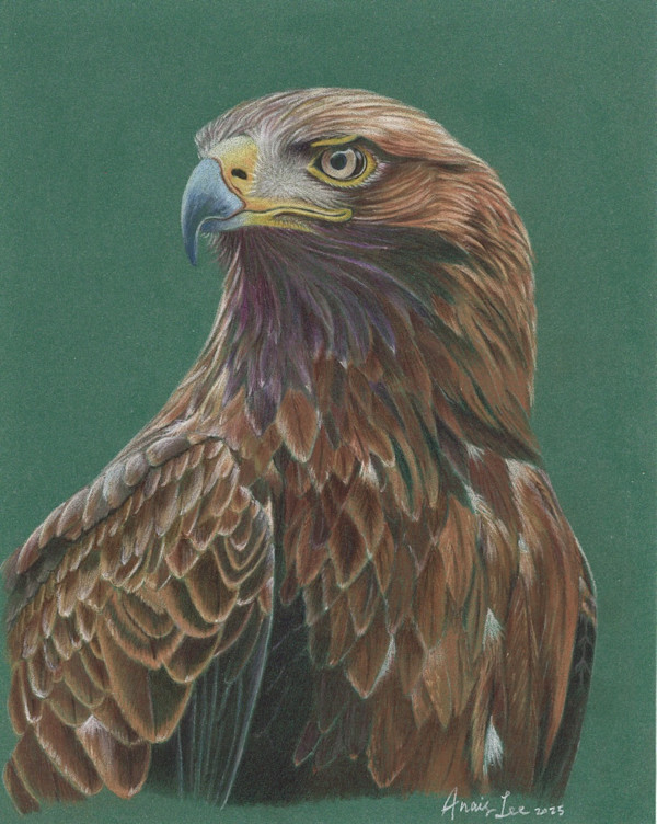Golden Eagle of the East by Anais Lee, Image 1.
