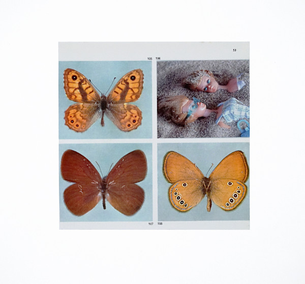 Butterfly Effect 3 by Michael Golden, Image 1.