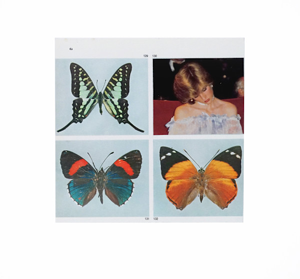 Butterfly Effect 2 by Michael Golden, Image 1.