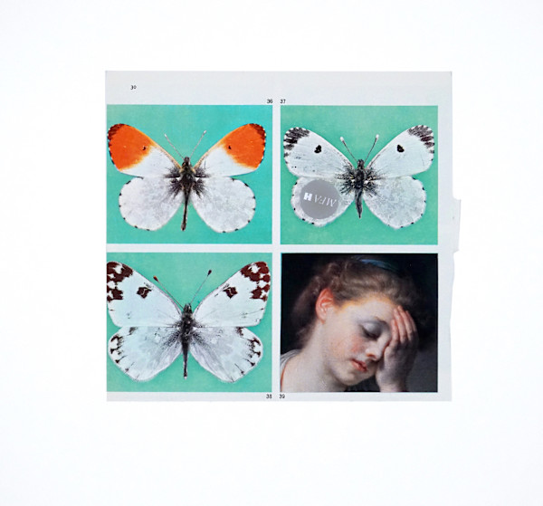 Butterfly Effect 1 by Michael Golden, Image 1.