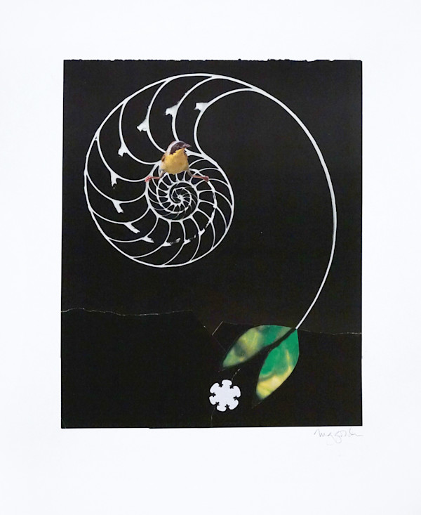 O - Connected - 16 by Michael Golden, Image 1.