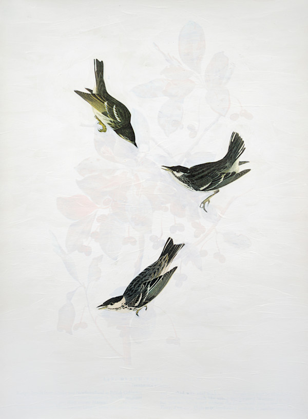 Soul Retrieval - 13 by Michael Golden, Image 1.