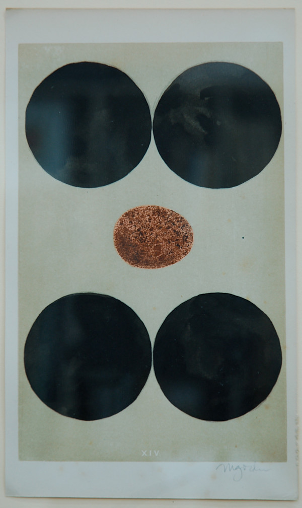 Untitled by Michael Golden, Image 1.