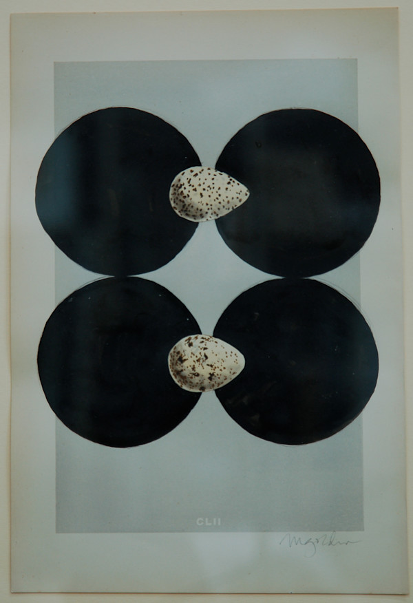 Untitled (egg matrix), by Michael Golden, Image 1.