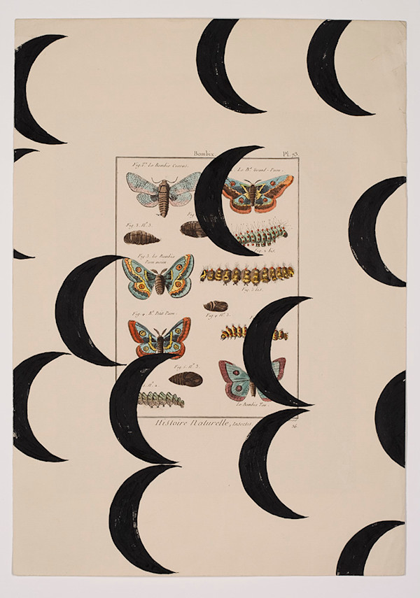 Fortunata (parts I, II, III) by Michael Golden, Image 1.