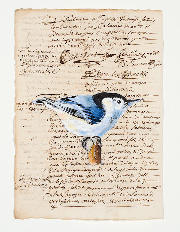 Ledger Page Birds by Michael Golden, Image 1.