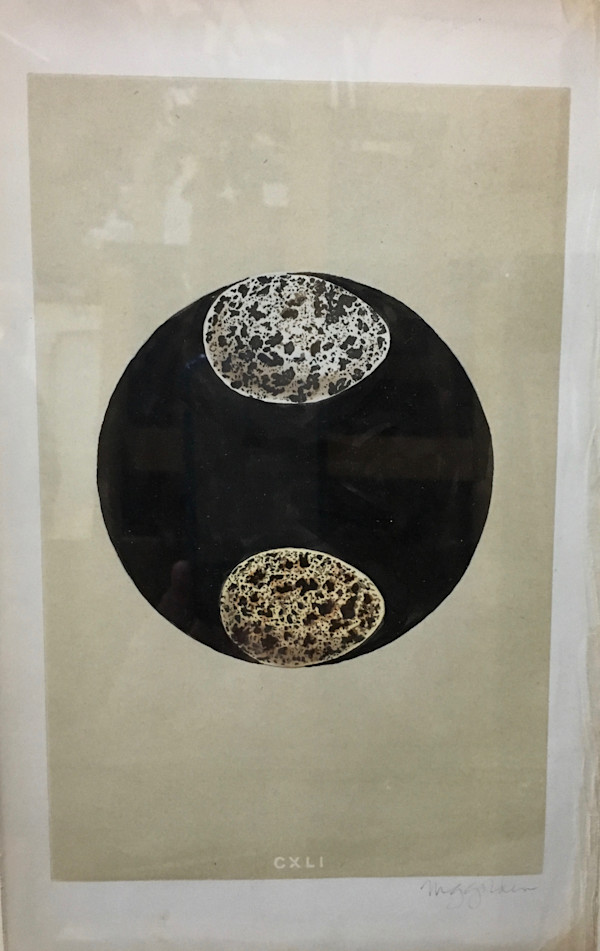 Untitled (egg matrix), CXLI by Michael Golden, Image 1.