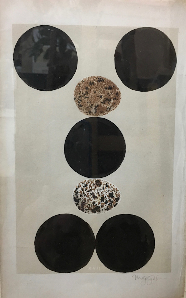 Untitled (egg matrix), XVII by Michael Golden, Image 1.