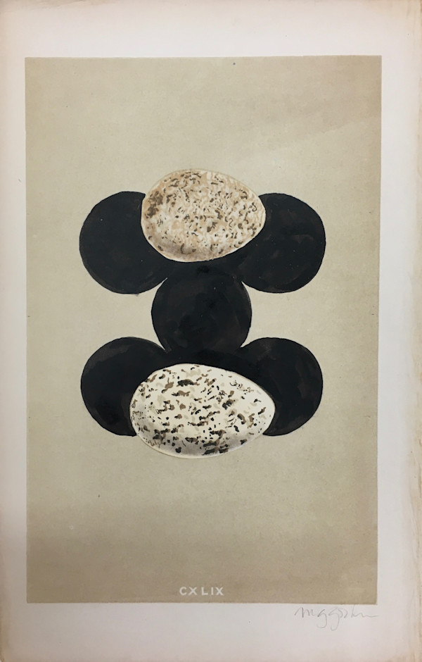 Untitled (egg matrix) CXLIX by Michael Golden, Image 1.
