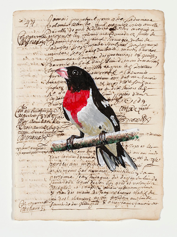 Untitled by Michael Golden, Image 1.