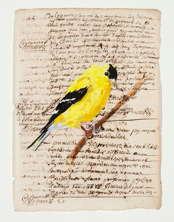 Untitled by Michael Golden, Image 1.