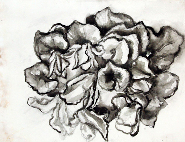 Untitled (#004) by Irena Baruch Wiley, Image 1.