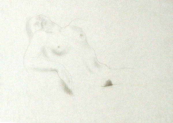 Untitled (#064) by Irena Baruch Wiley, Image 1.