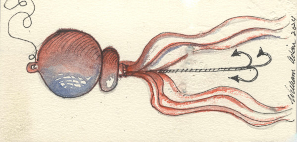 The Squid Lure by William B. Adair