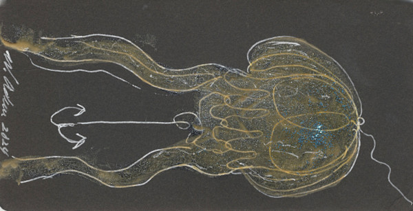 Coelenterata Lure by William B. Adair, Image 1.