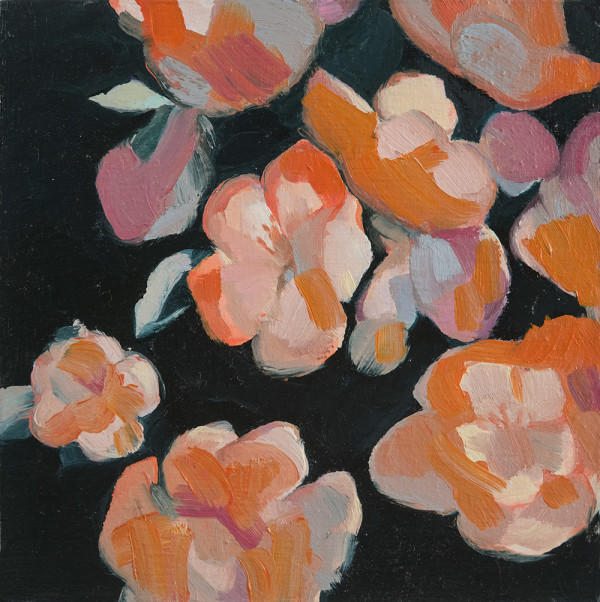 Flower colour study by Courtney Colbon